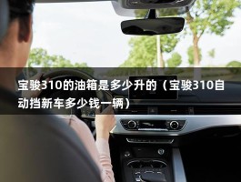 宝骏310的油箱是多少升的（宝骏310自动挡新车多少钱一辆）