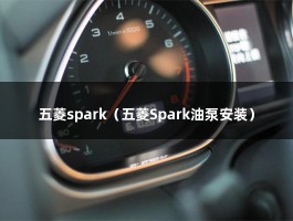 五菱spark（五菱Spark油泵安装）