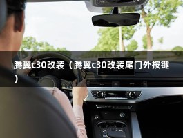 腾翼c30改装（什么型号的氙气灯配型）