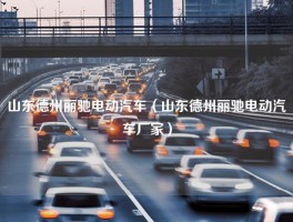 山东德州丽驰电动汽车（山东德州丽驰电动汽车厂家）