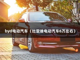 byd电动汽车（海豚,小身材大空间,灵活好开）