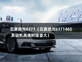 五菱扬光6371（五菱扬光6371465 发动机高速时操音大）