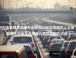 大排量摩托车跑车品牌图片和价格图片（大排量摩托车跑车品牌图片和价格图片对比）