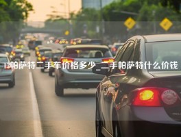 13帕萨特二手车价格多少_二手帕萨特什么价钱