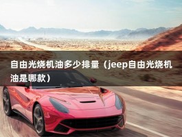 自由光烧机油多少排量（jeep自由光烧机油是哪款）