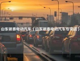 山东银泰电动汽车（山东银泰电动汽车专卖店）