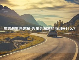 威志刹车油老漏_汽车会漏油的原因是什么？