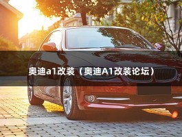 奥迪a1改装（A1能换灯泡吗）