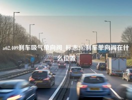 a62.409刹车吸气单向阀_标志207刹车单向阀在什么位置