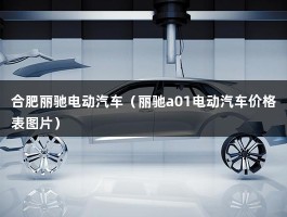 合肥丽驰电动汽车（丽驰a01电动汽车价格表图片）