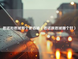 思铭和思域那个更省油（思铭跟思域哪个好）