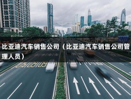 比亚迪汽车销售公司（比亚迪汽车销售公司管理人员）