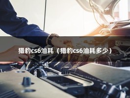 猎豹cs6油耗（猎豹cs6油耗多少）