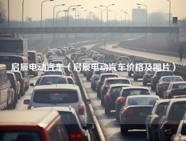 启辰电动汽车（启辰电动汽车价格及图片）