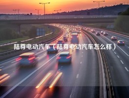 陆尊电动汽车（陆尊电动汽车怎么样）