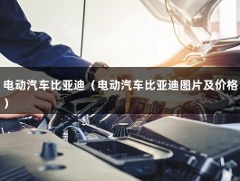 电动汽车比亚迪（比亚迪最便宜的电动汽车）