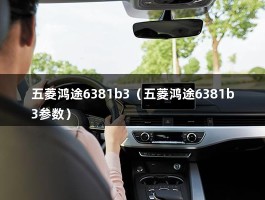 五菱鸿途6381b3（五菱鸿途6381b3参数）