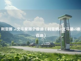 利亚娜 a6北斗星哪个省油（利亚纳a6北斗星x5谁省油）