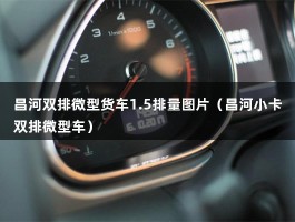 昌河双排微型货车1.5排量图片（昌河小卡双排微型车）