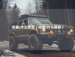 排量L什么意思（排量L什么意思）