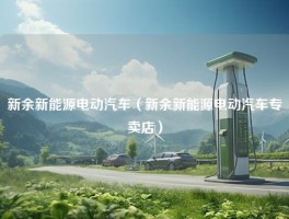 新余新能源电动汽车（新余新能源电动汽车专卖店）