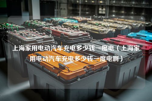 上海家用电动汽车充电多少钱一度电（上海家用电动汽车充电多少钱一度电啊）