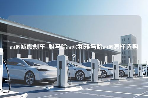 mt09减震刹车_雅马哈mt07和雅马哈mt09怎样选购？