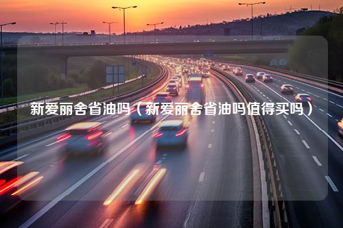 新爱丽舍省油吗（新爱丽舍省油吗值得买吗）