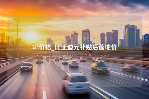 535价格_比亚迪元补贴后落地价