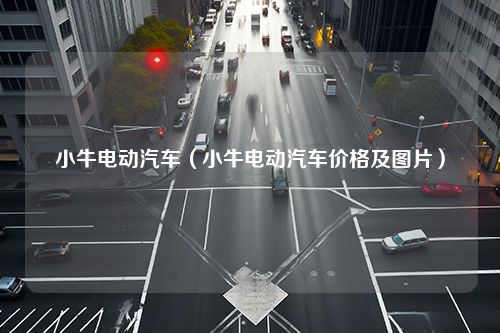 小牛电动汽车（小牛电动汽车价格及图片）