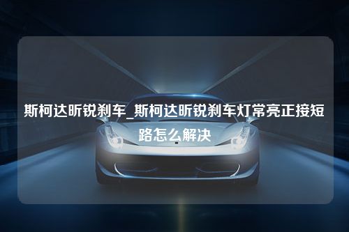 斯柯达昕锐刹车_斯柯达昕锐刹车灯常亮正接短路怎么解决