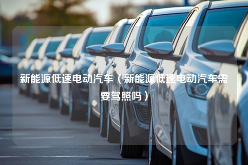 新能源低速电动汽车（新能源低速电动汽车需要驾照吗）