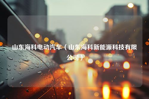 山东海科电动汽车（山东海科新能源科技有限公司）