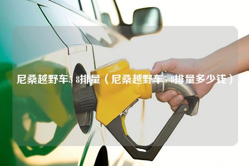 尼桑越野车5 8排量（尼桑越野车5 8排量多少钱）