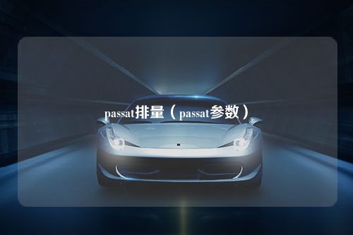 passat排量（passat参数）