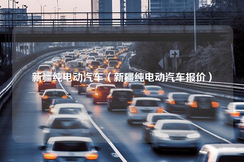 新疆纯电动汽车（新疆纯电动汽车报价）