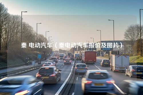 秦 电动汽车（秦电动汽车报价及图片）