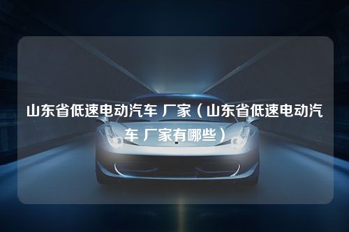 山东省低速电动汽车 厂家（山东省低速电动汽车 厂家有哪些）