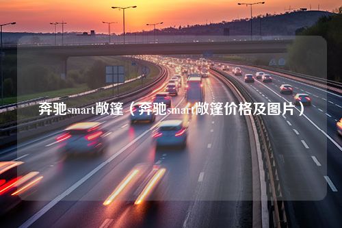 奔驰smart敞篷（奔驰smart敞篷价格及图片）