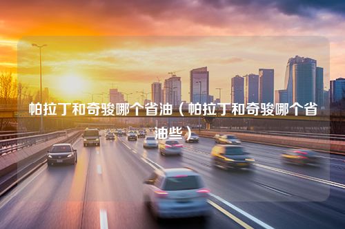 帕拉丁和奇骏哪个省油（帕拉丁和奇骏哪个省油些）