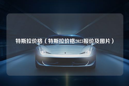 特斯拉价格（特斯拉价格2023报价及图片）