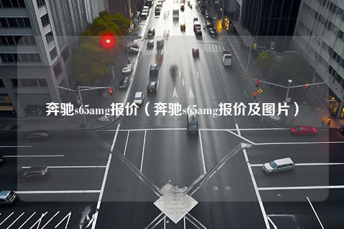 奔驰s65amg报价（奔驰s65amg报价及图片）