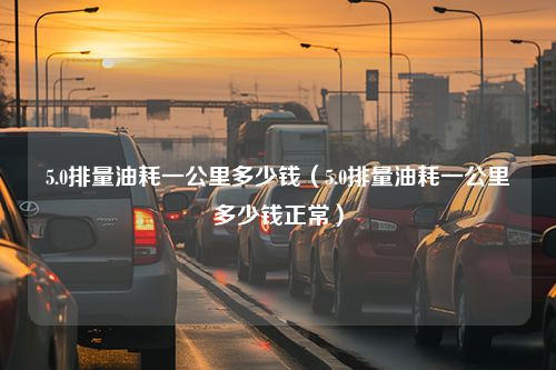 5.0排量油耗一公里多少钱（5.0排量油耗一公里多少钱正常）