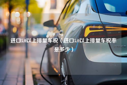 进口5.0以上排量车税（进口5.0以上排量车税率是多少）