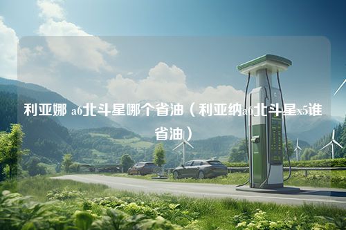 利亚娜 a6北斗星哪个省油（利亚纳a6北斗星x5谁省油）