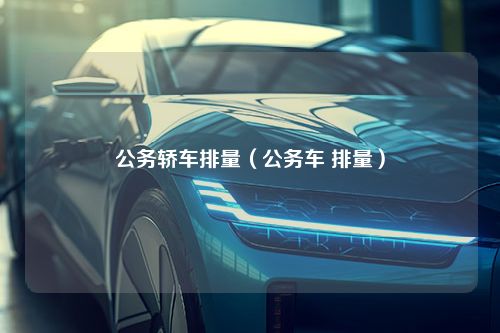 公务轿车排量（公务车 排量）