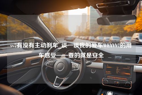 vv7有没有主动刹车_谈一谈我的爱车WEYVV7的用车感受——要的就是安全