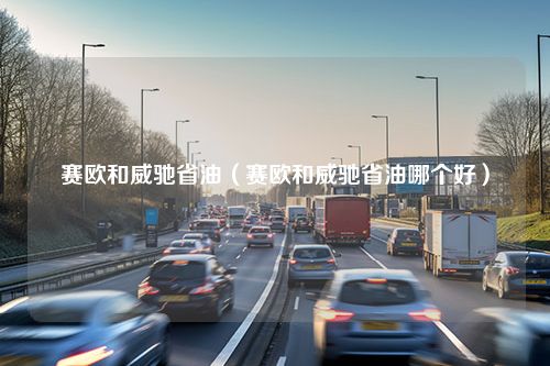 赛欧和威驰省油（赛欧和威驰省油哪个好）