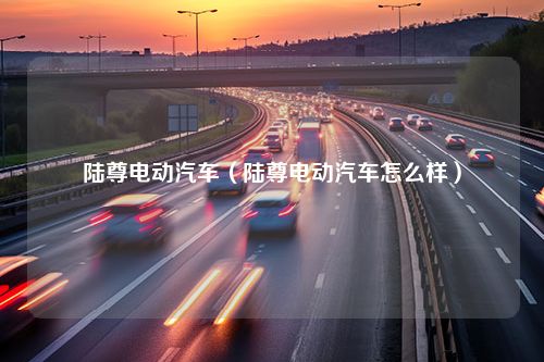 陆尊电动汽车（陆尊电动汽车怎么样）