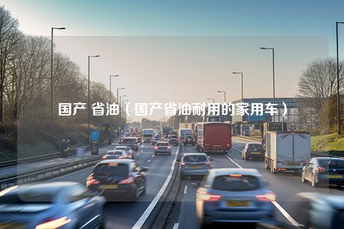 国产 省油（国产省油耐用的家用车）